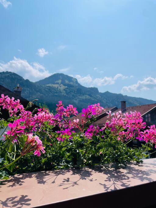 Berge, Wandern, Erholung Pur! Fewo Tinka-Haus Katja Bad Hindelang Εξωτερικό φωτογραφία